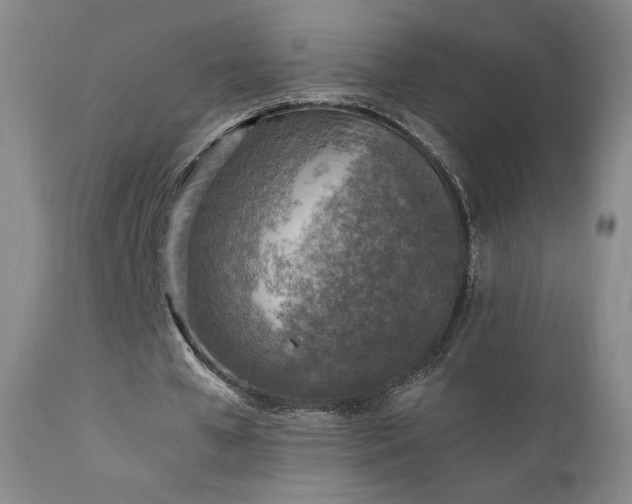 X0000111920577200907271251