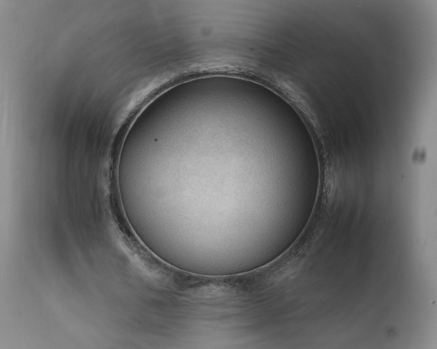 X0000111920578200907271251