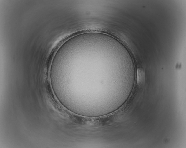 X0000111920579200907271251