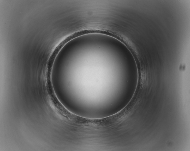 X0000111920580200907271251