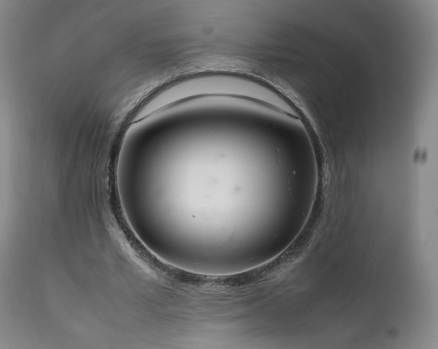 X0000111920581200907271251