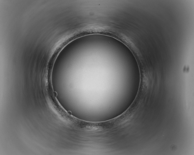X0000111920582200907271251