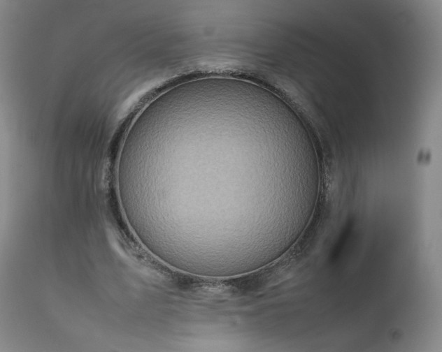 X0000111920583200907271251
