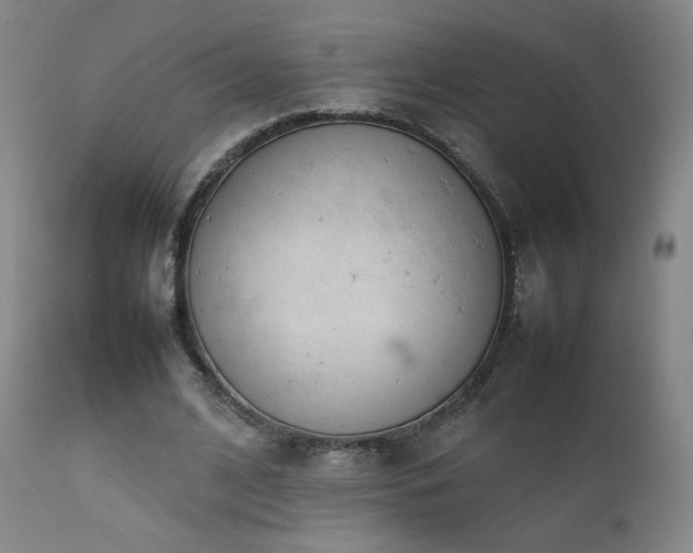 X0000111920584200907271251
