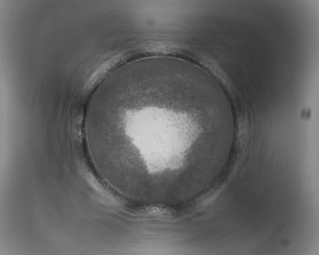 X0000111920585200907271251