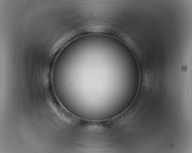 X0000111920586200907271251