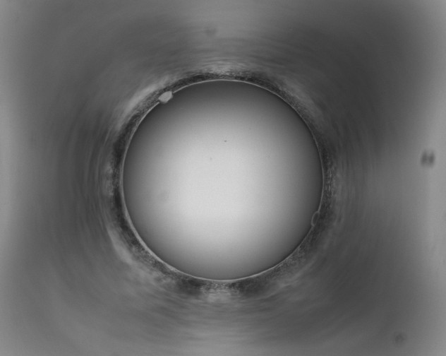 X0000111920587200907271251