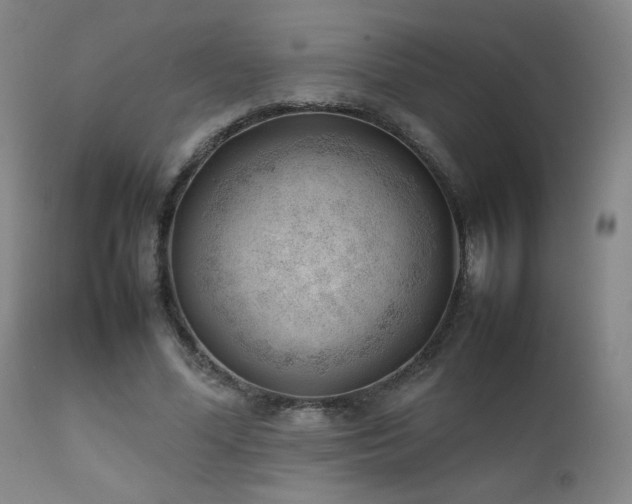 X0000111920588200907271251