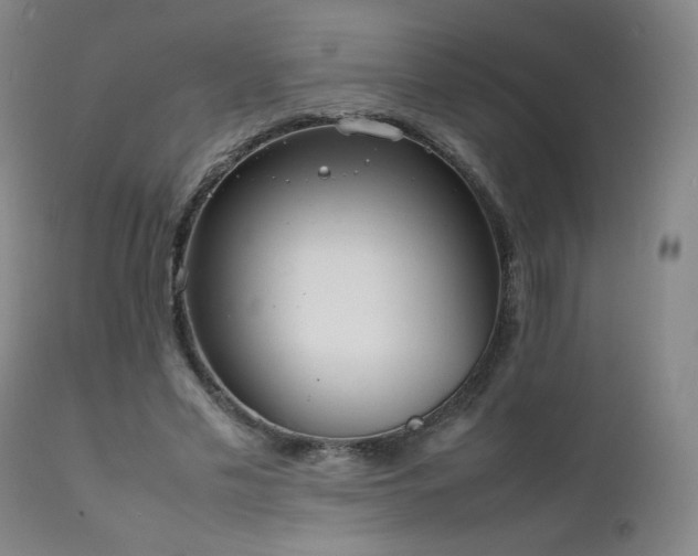 X0000111920589200907271251