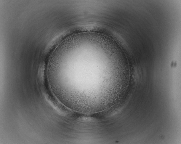 X0000111920590200907271251