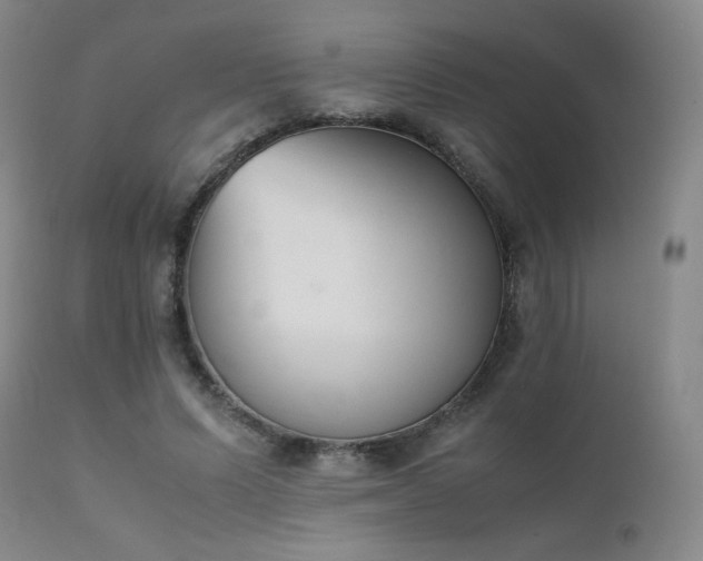 X0000111920591200907271251