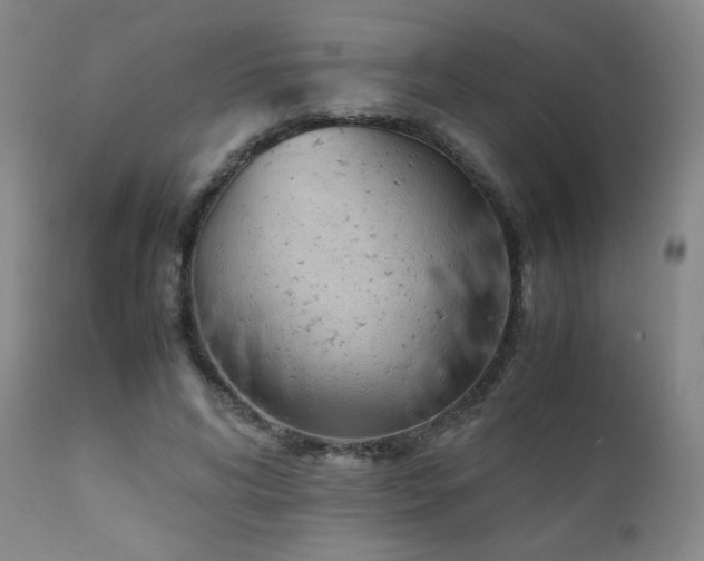 X0000111920592200907271251