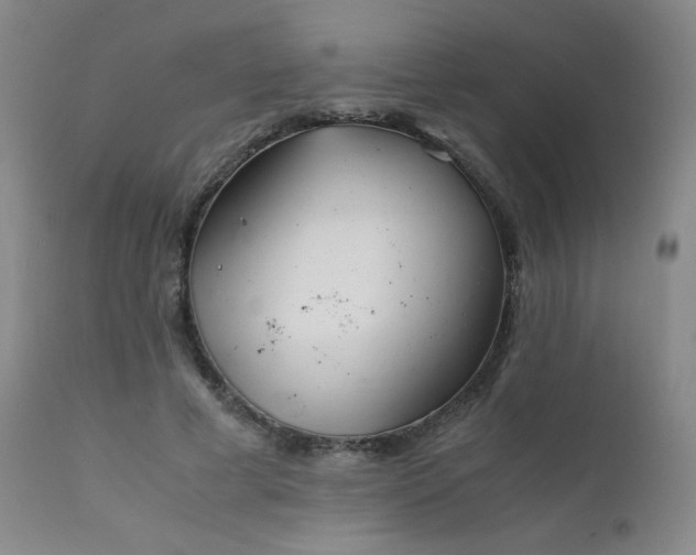 X0000111920593200907271251