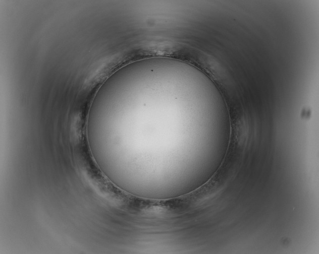 X0000111920594200907271251