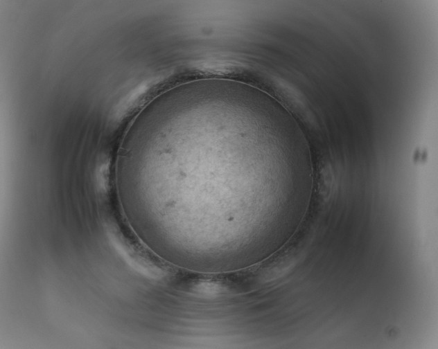 X0000111920596200907271251