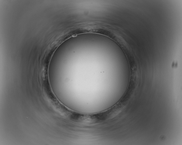 X0000111920597200907271251