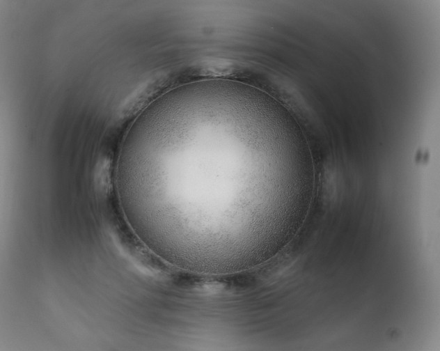 X0000111920598200907271251