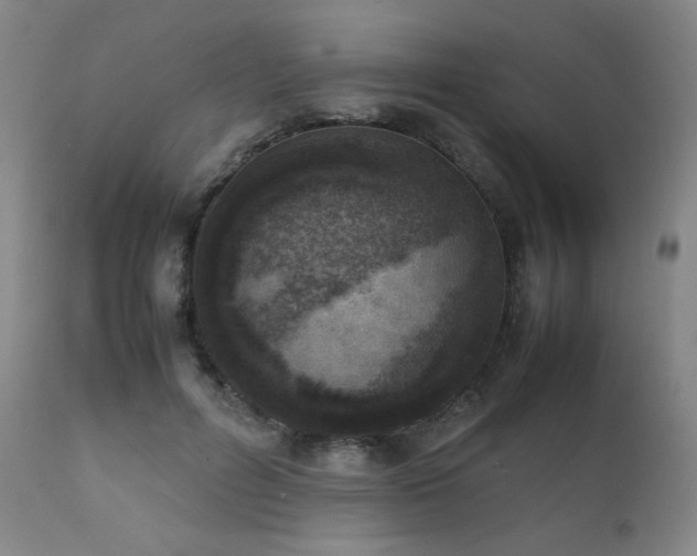 X0000111920600200907271251