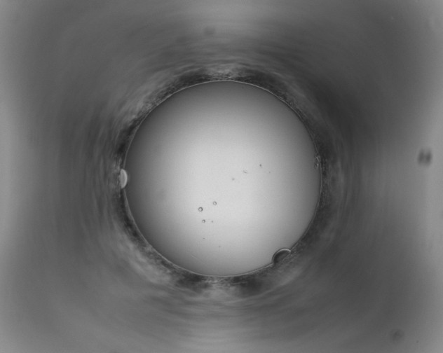 X0000111920601200907271251