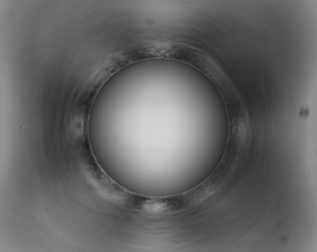 X0000111920602200907271251