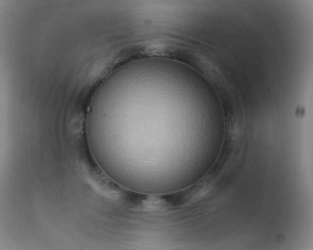 X0000111920603200907271251