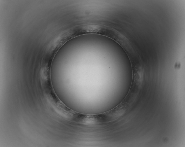 X0000111920604200907271251
