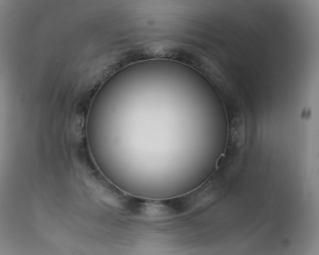X0000111920605200907271251