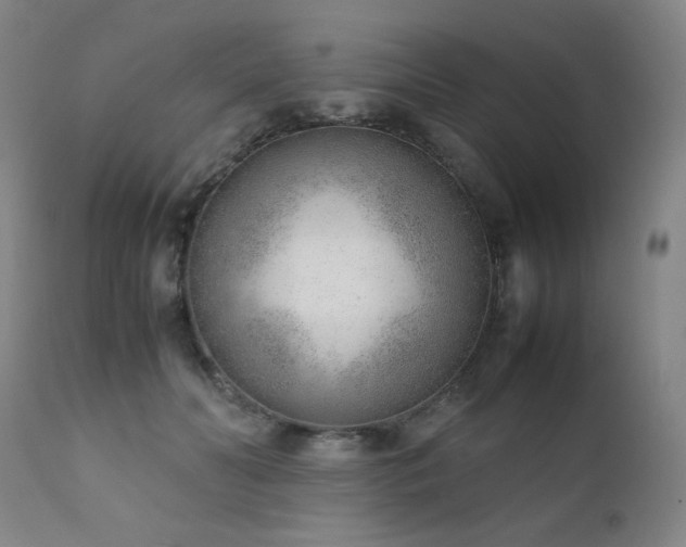 X0000111920606200907271251