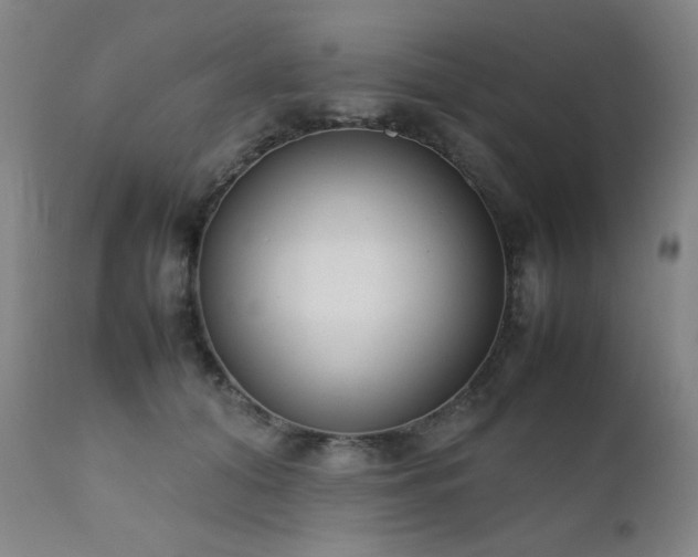 X0000111920608200907271251