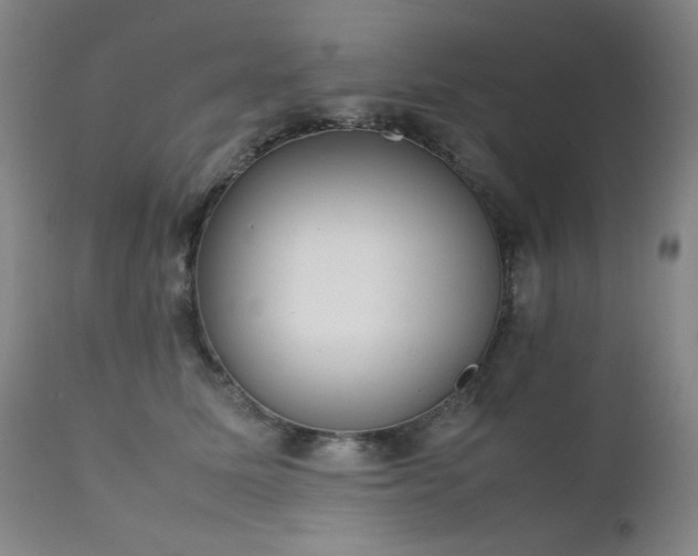 X0000111920611200907271250