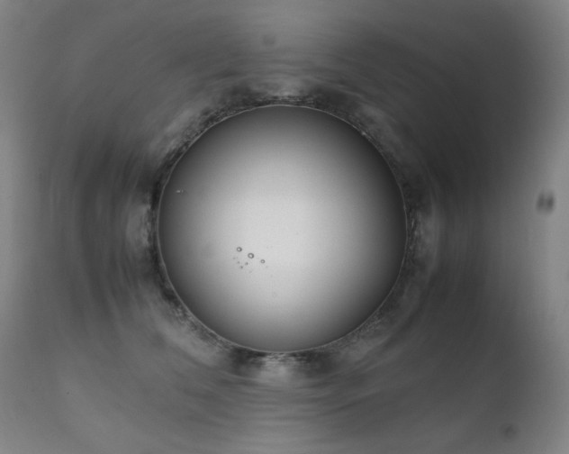 X0000111920612200907271250