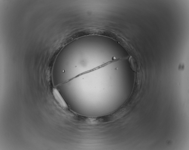 X0000111920613200907271250
