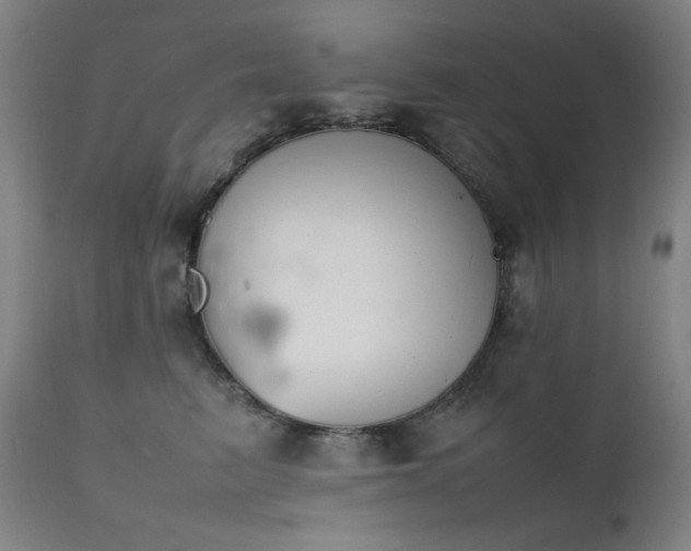 X0000111920615200907271250
