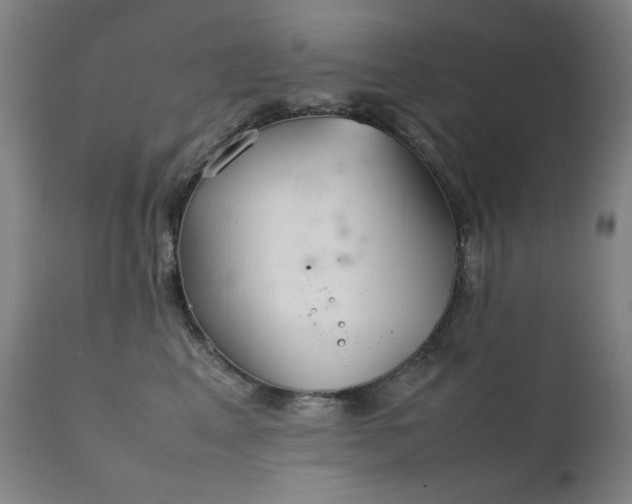 X0000111920617200907271250