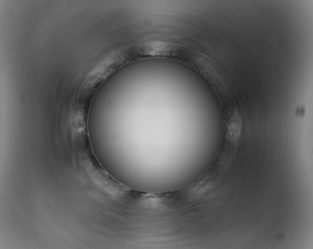 X0000111920620200907271250