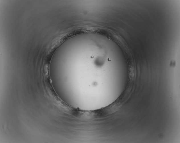 X0000111920621200907271250