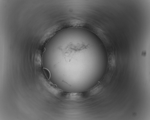 X0000111920622200907271250