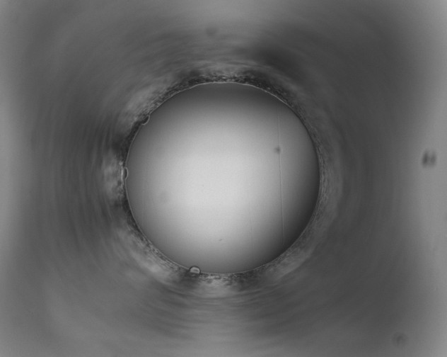 X0000111920624200907271250