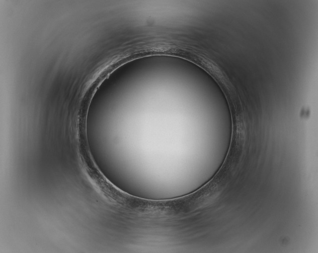 X0000111920626200907271250