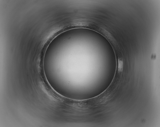 X0000111920627200907271250