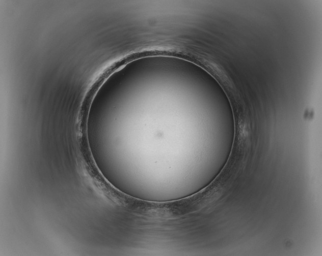 X0000111920628200907271250
