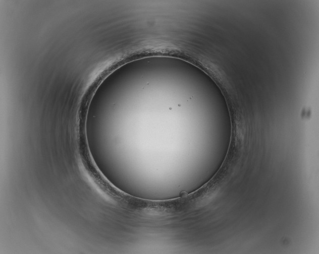 X0000111920630200907271250