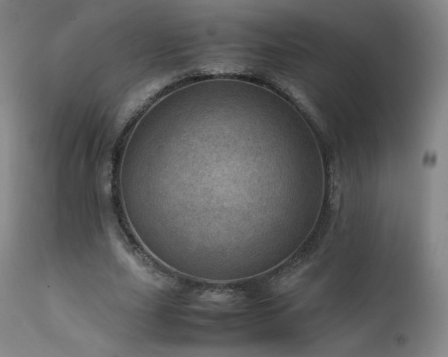 X0000111920631200907271250