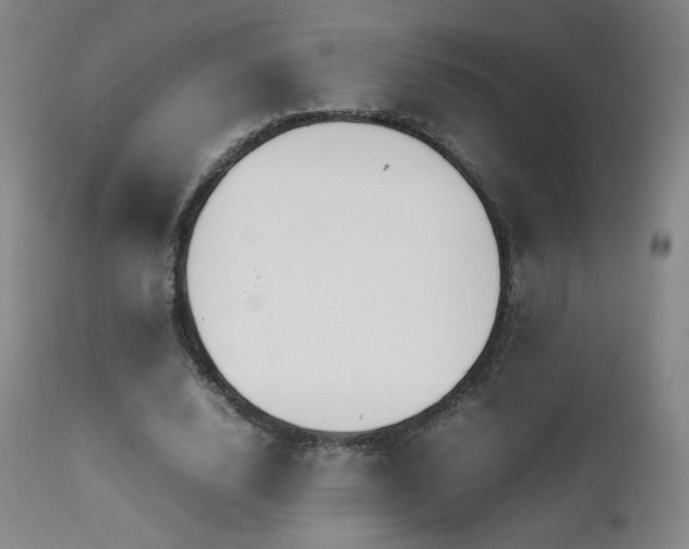 X0000111920632200907271250
