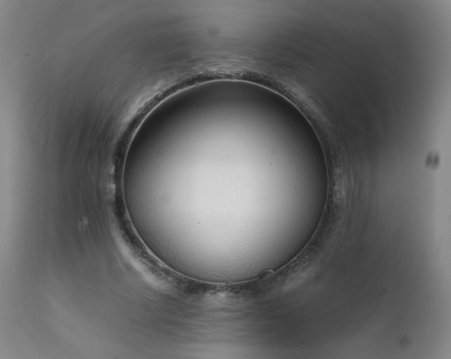 X0000111920634200907271250