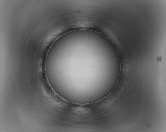 X0000111920635200907271250
