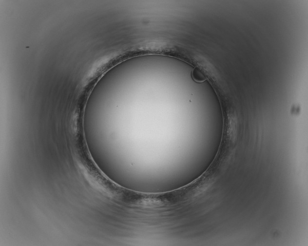 X0000111920636200907271250