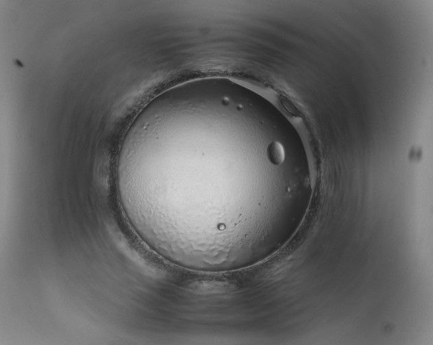 X0000111920637200907271250