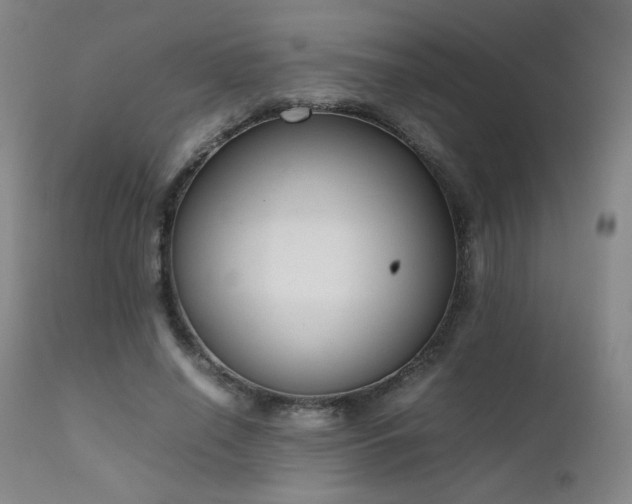 X0000111920638200907271250