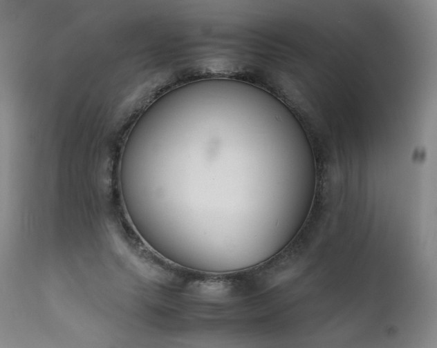 X0000111920639200907271250